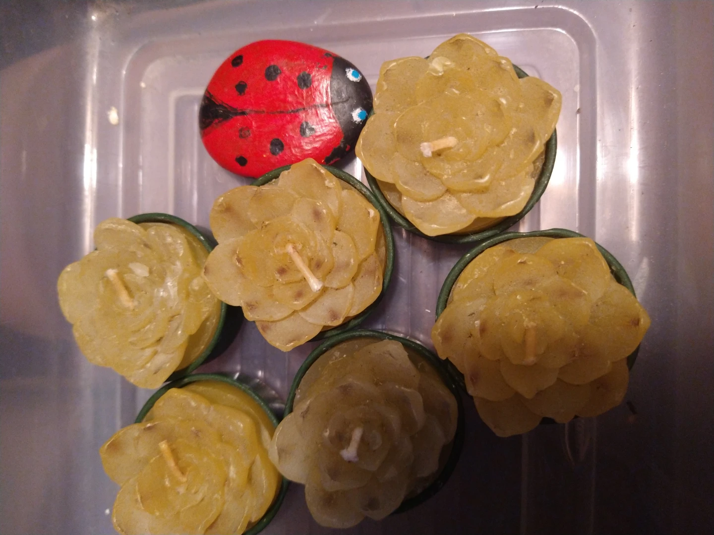 6 succulent tea light Candles - photo 2