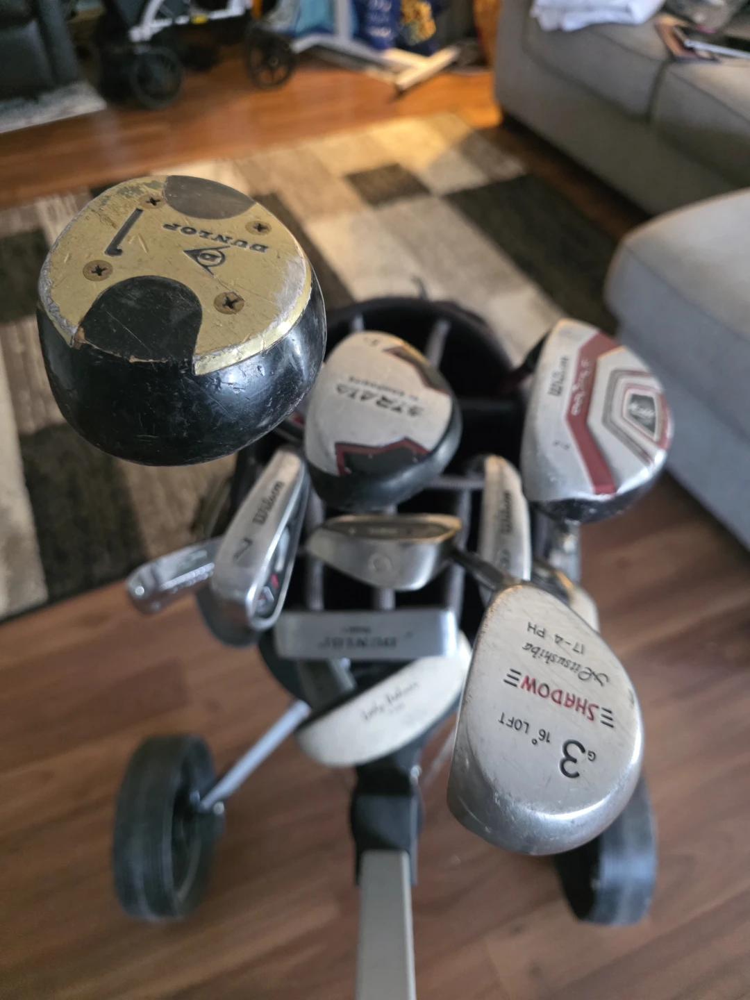 Golf Club Set with Bag and Push Cart