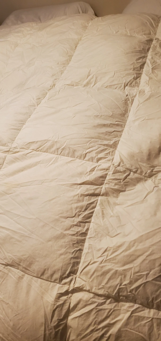 Queen sized Goose down Duvet