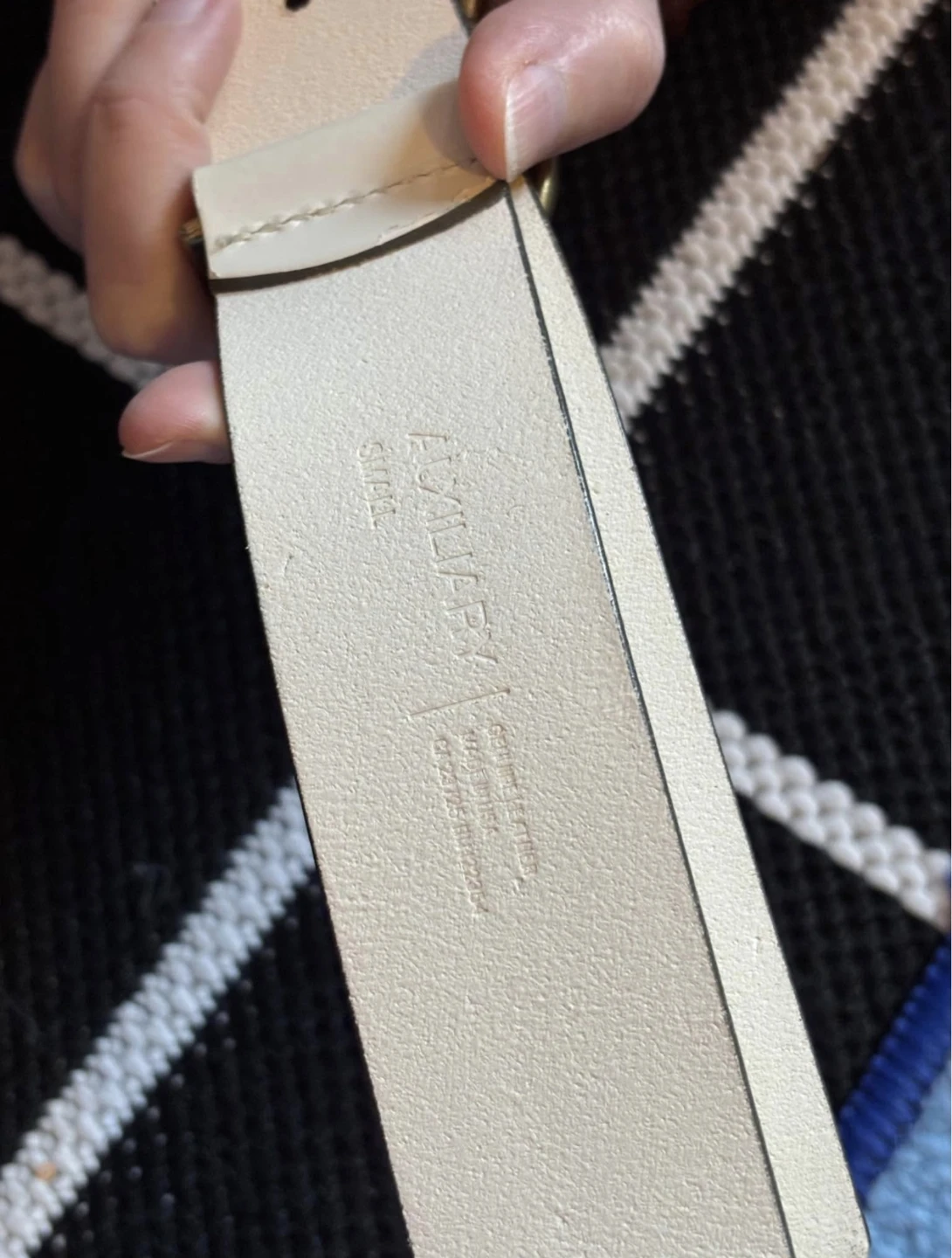 Aritzia Auxilliary Belt - photo 3