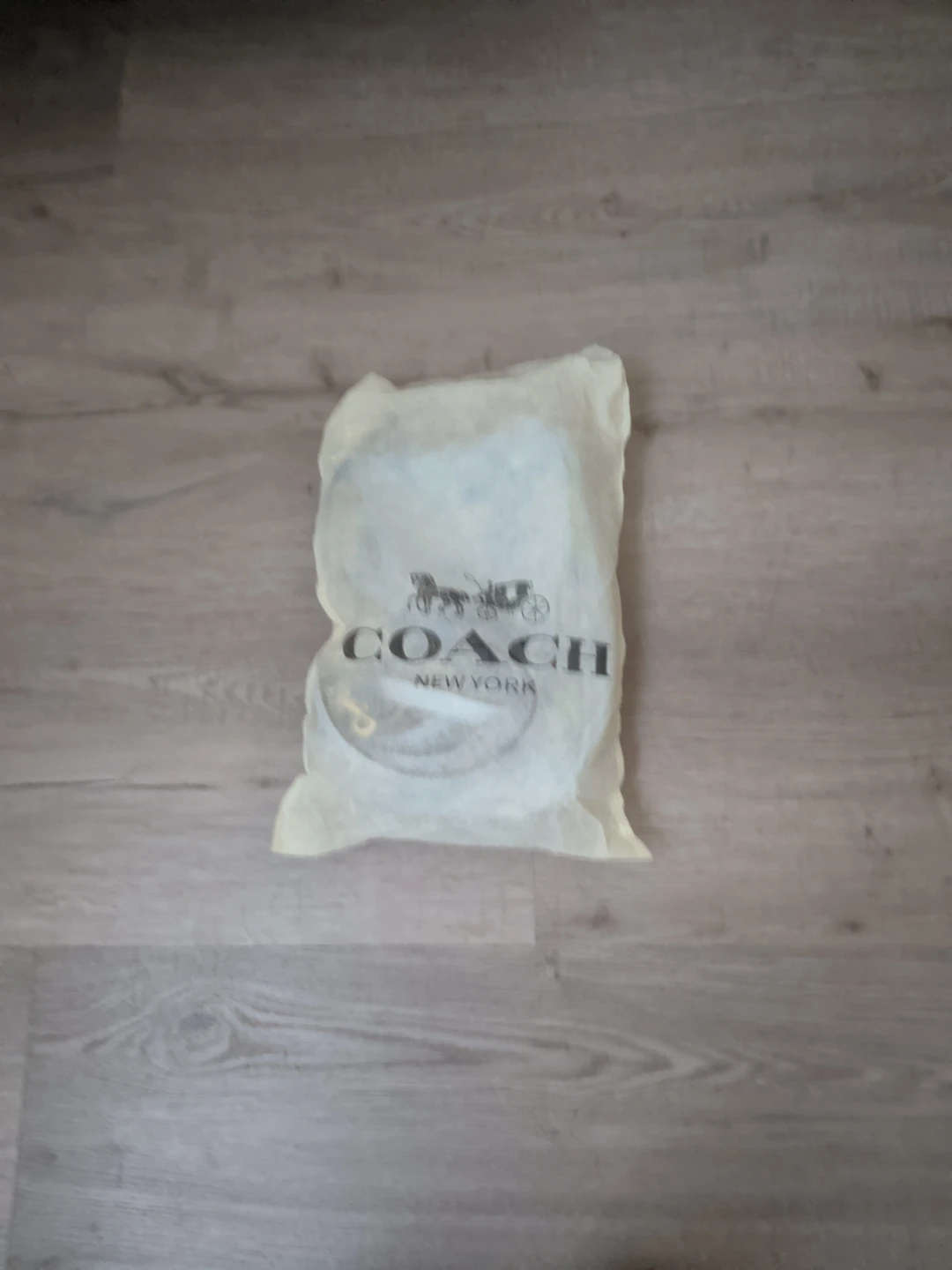 Coach Shoulder Bag - Light Blue Signature Print - photo 3
