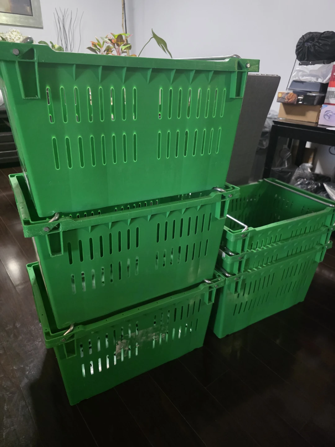 Green Plastic Crates with Metal Handles (Set of 6)