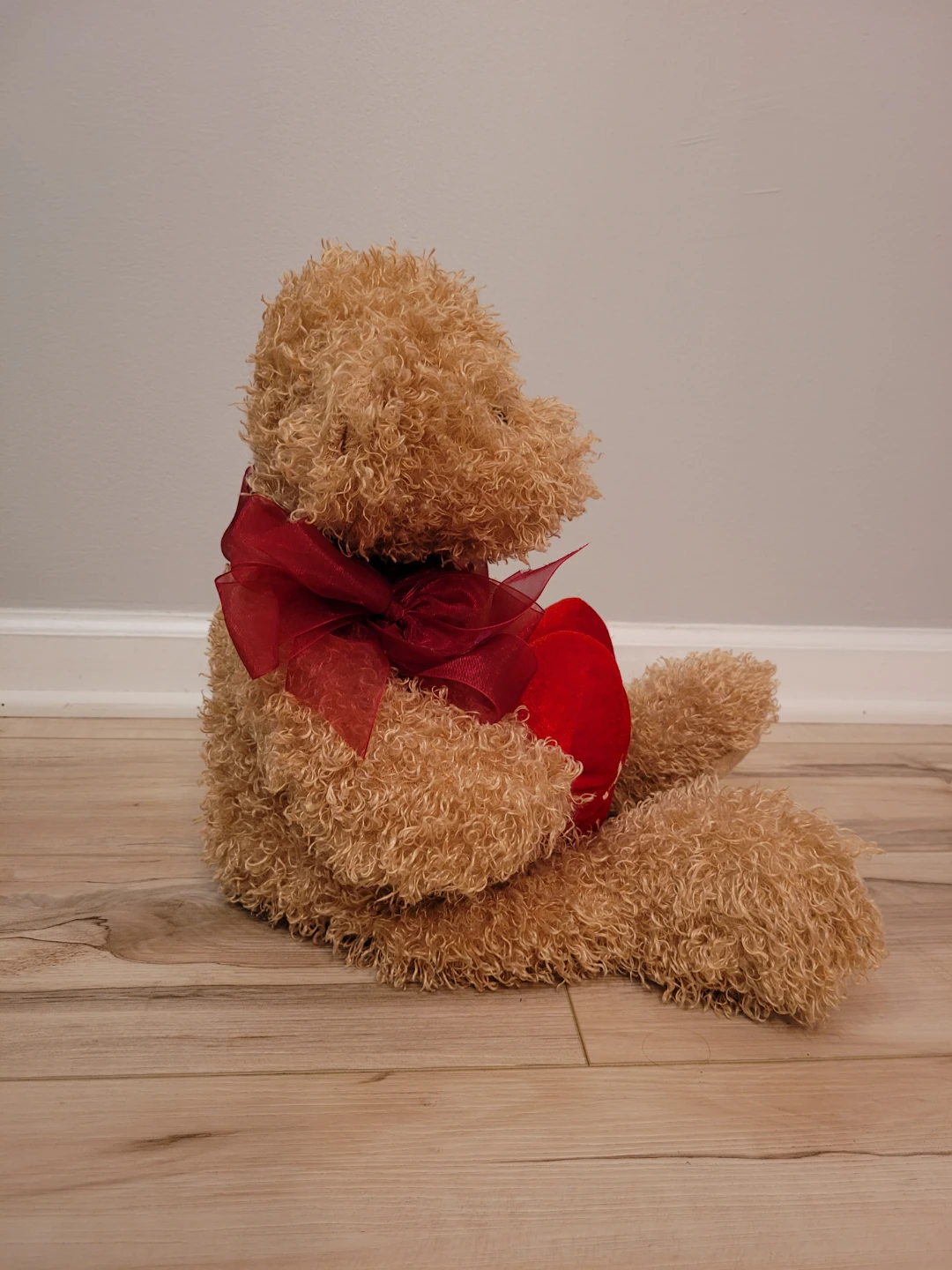 Plush Teddy Bear with "XOXO" Heart - photo 4