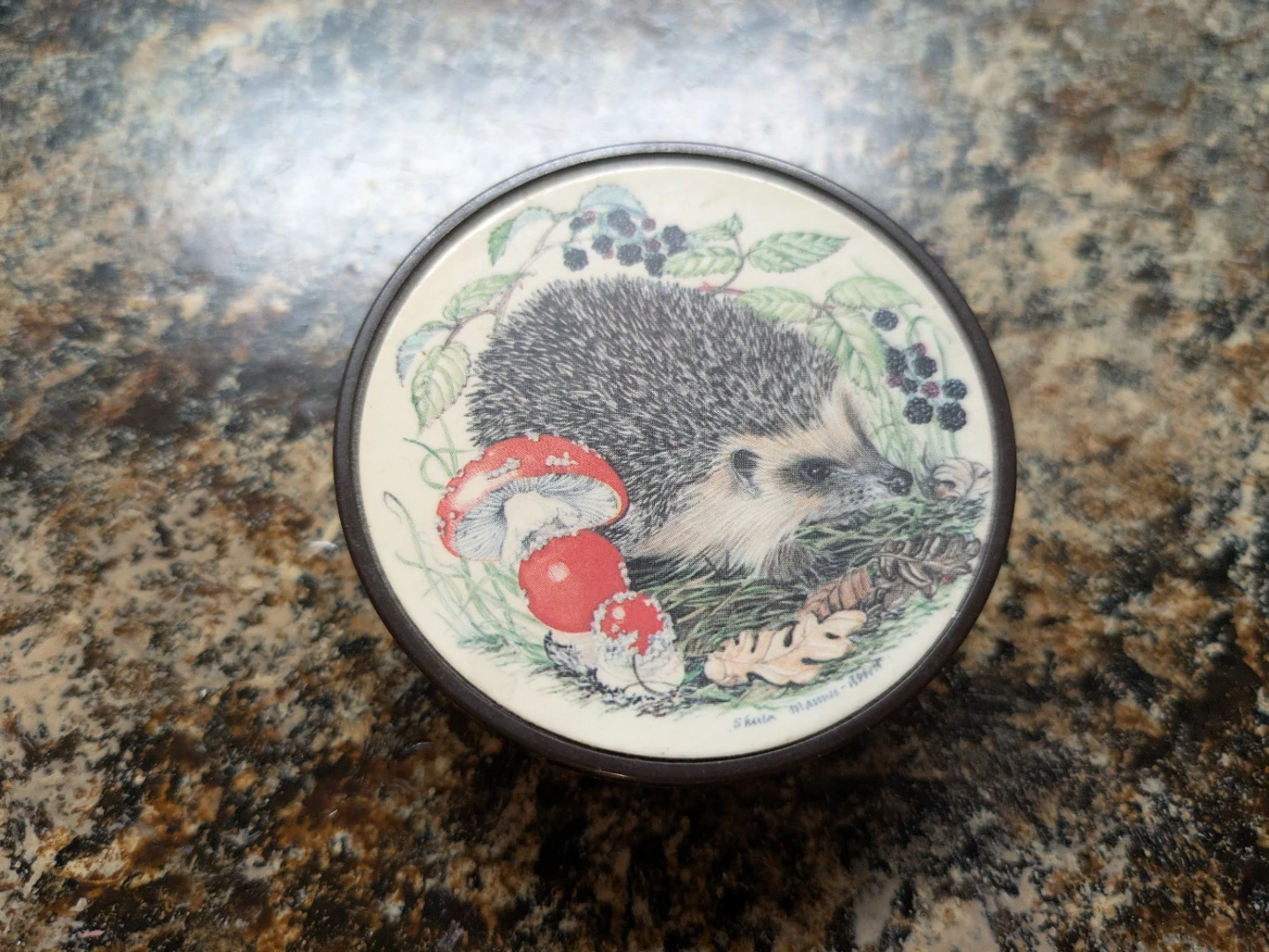 Aitnes Round Tin with Hedgehog Design