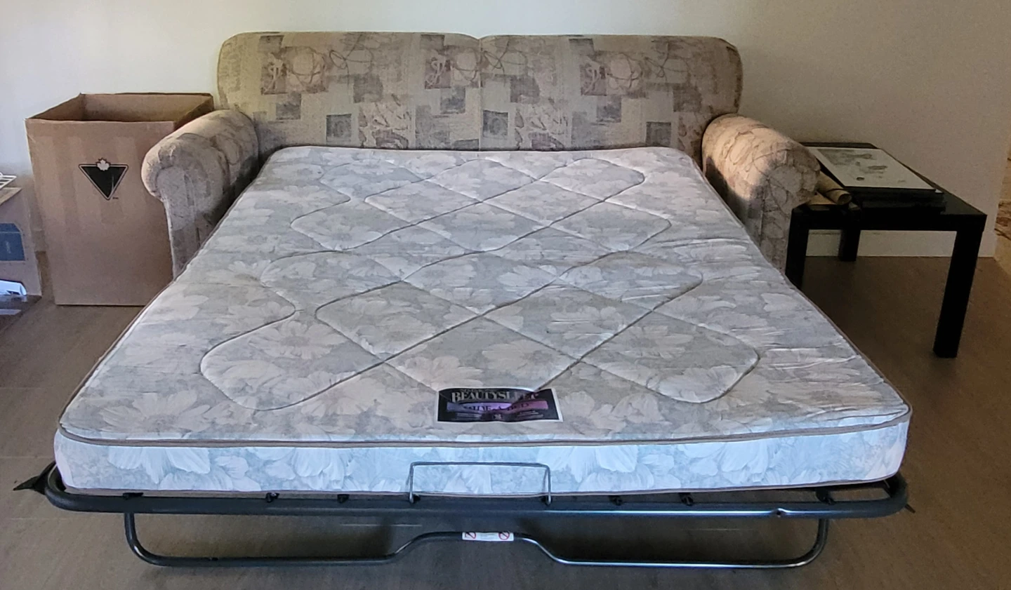 Sofa Bed with Queen Mattress