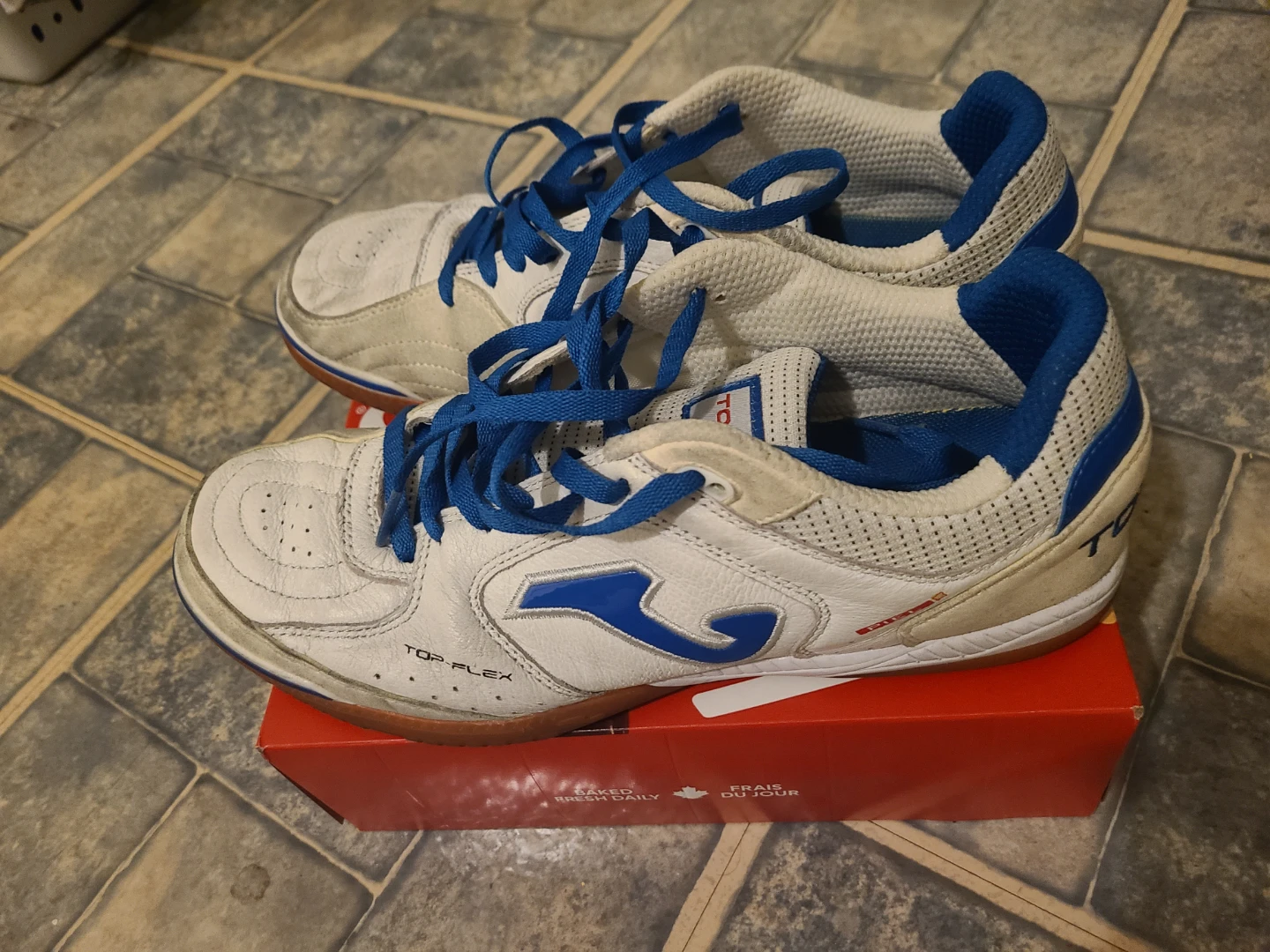 Joma Top Flex Indoor Soccer Shoes