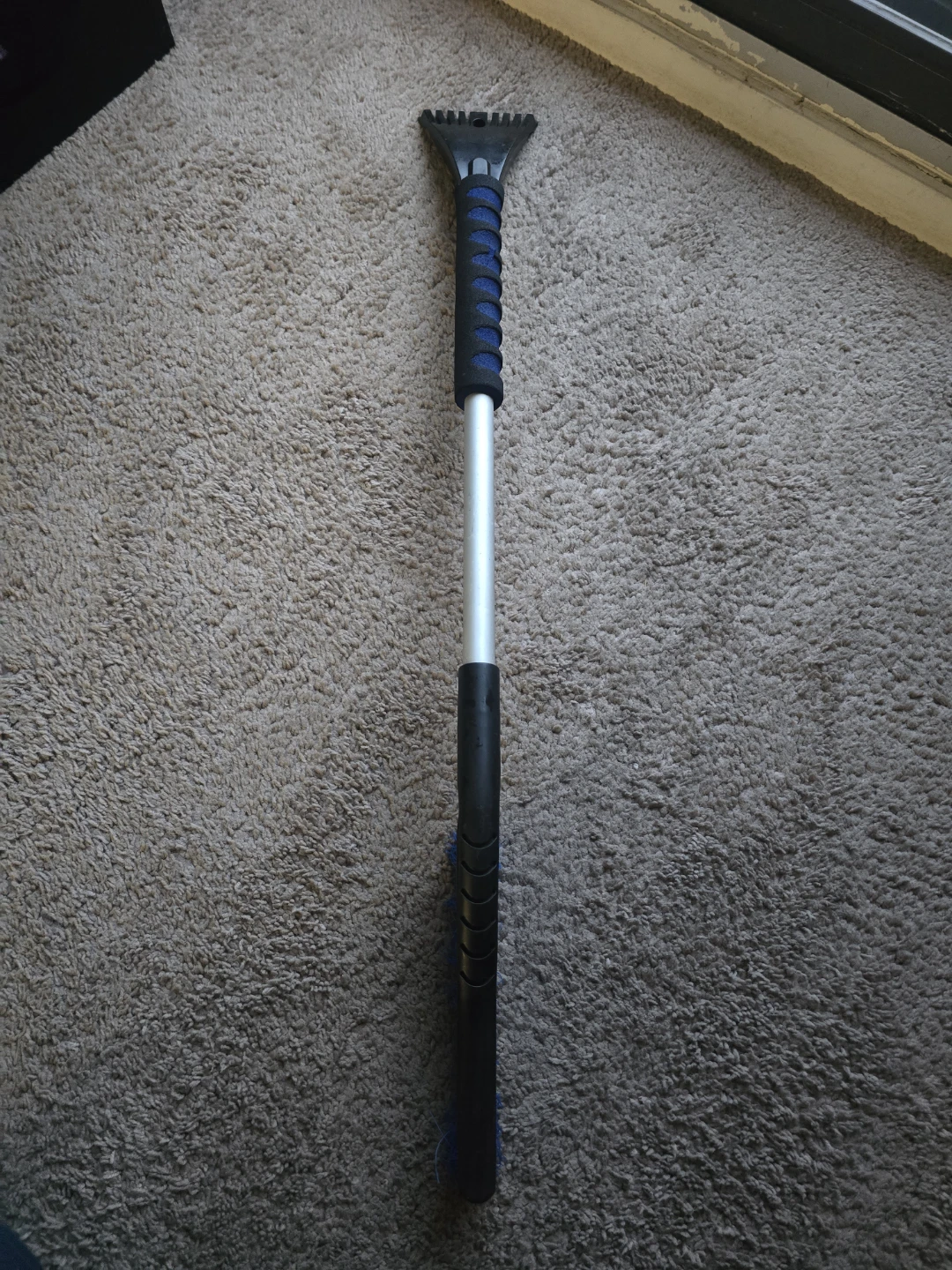 Snow brush