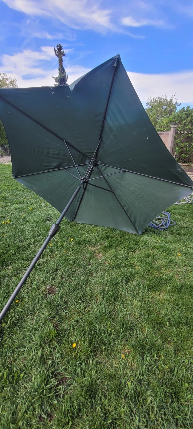 FREE Patio Umbrella - photo 3