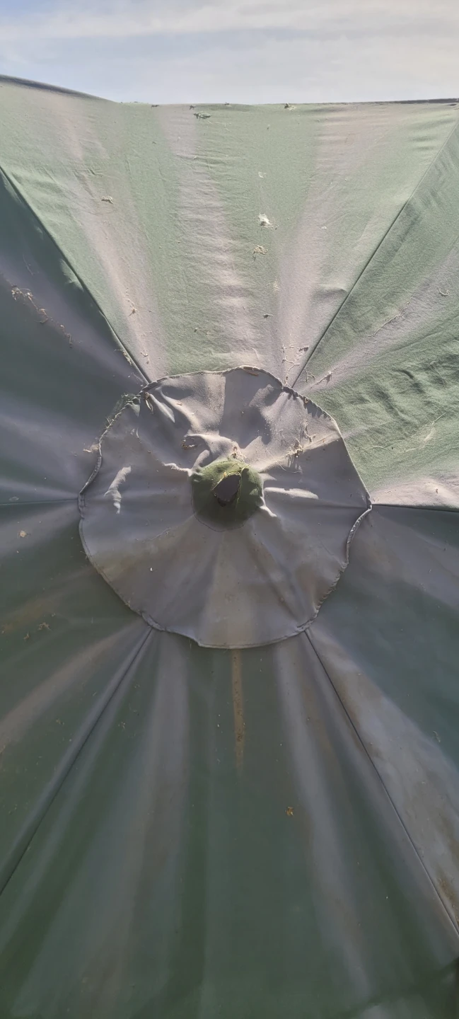 FREE Patio Umbrella - photo 5