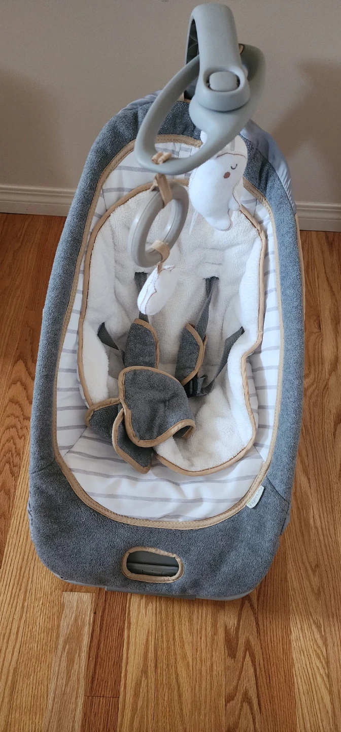 Infant Rocker/Bouncer - photo 2