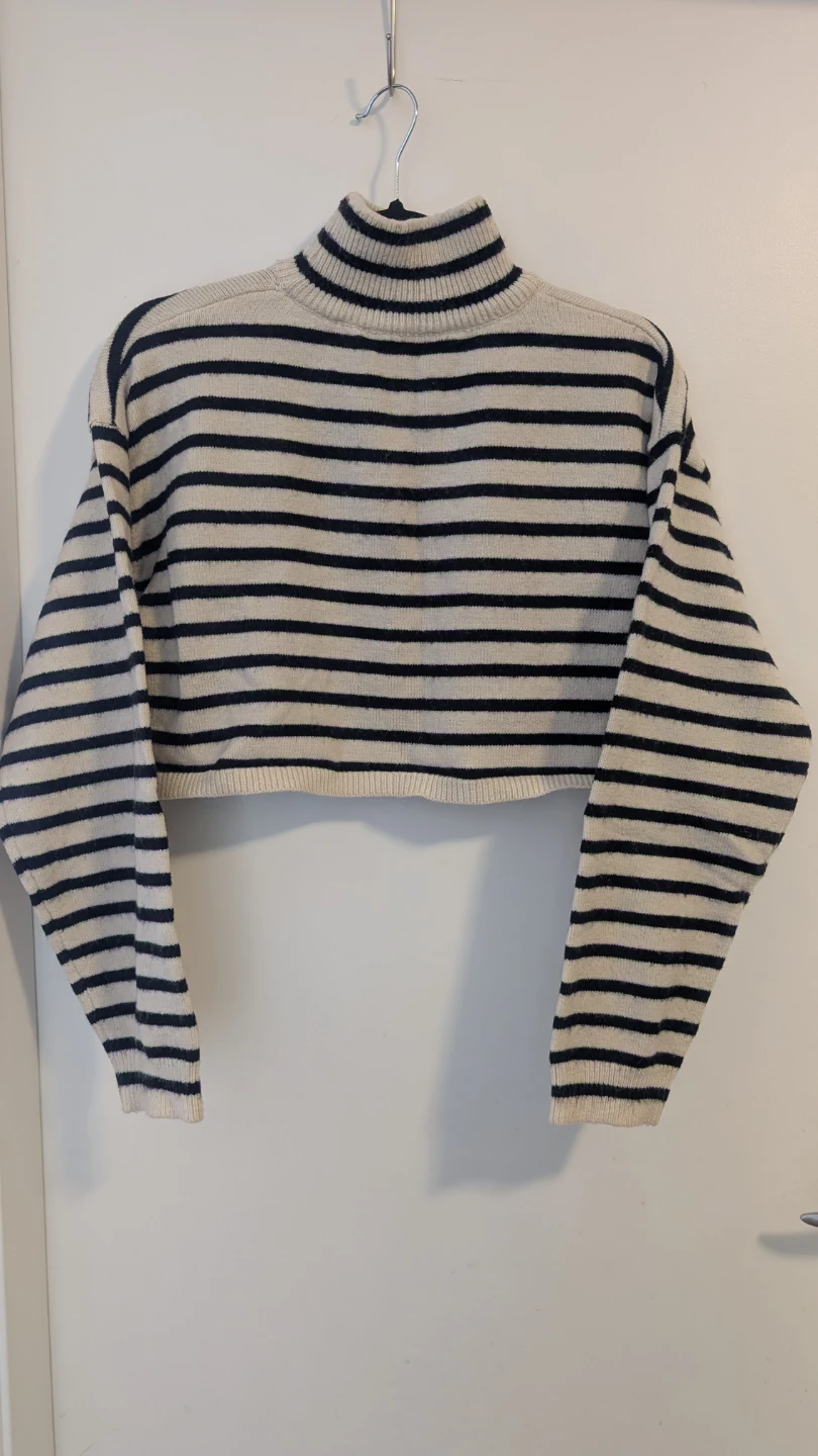 Cider Striped Mock Neck Cropped Sweater - photo 2