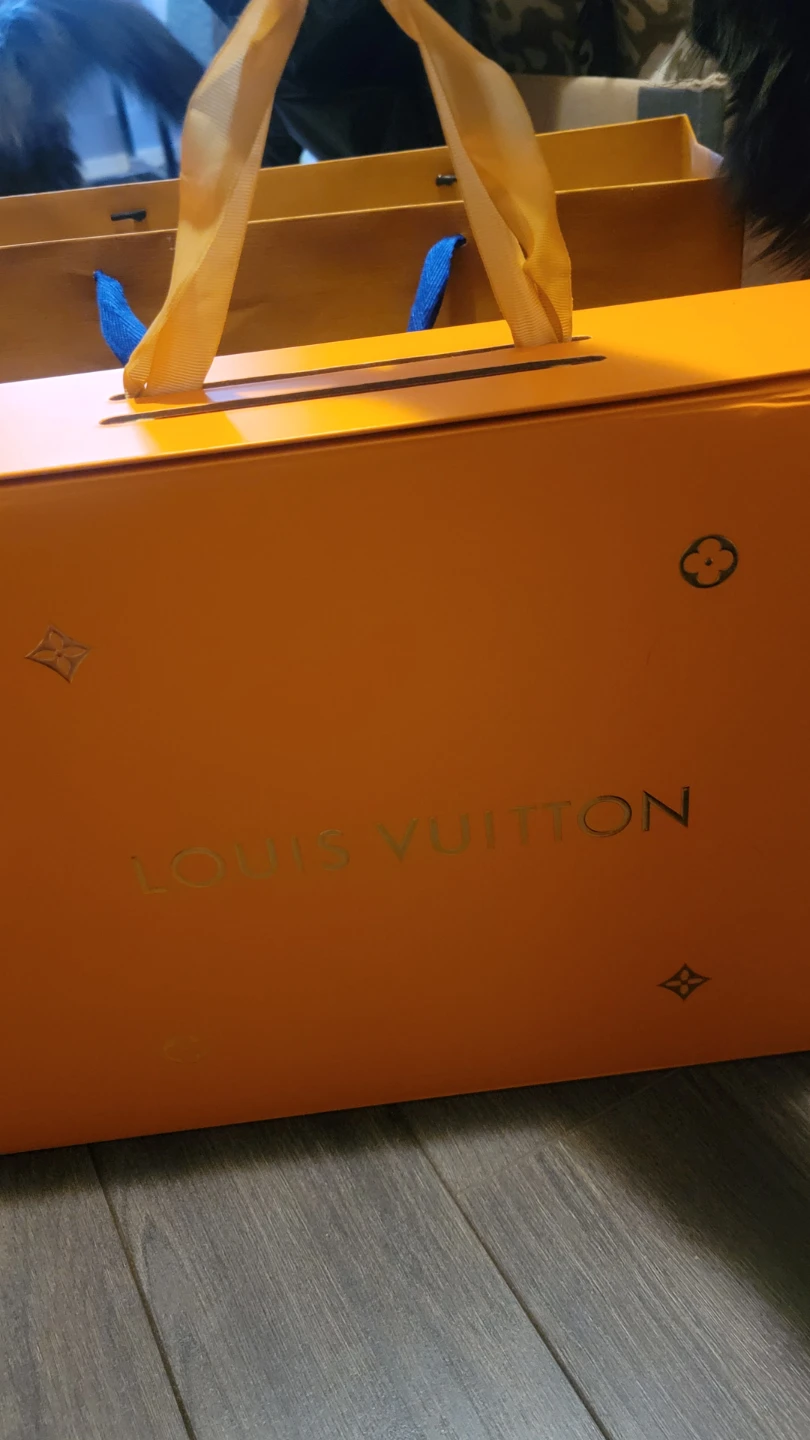 Louis Vuitton Shopping Bag and Gift Box - photo 2