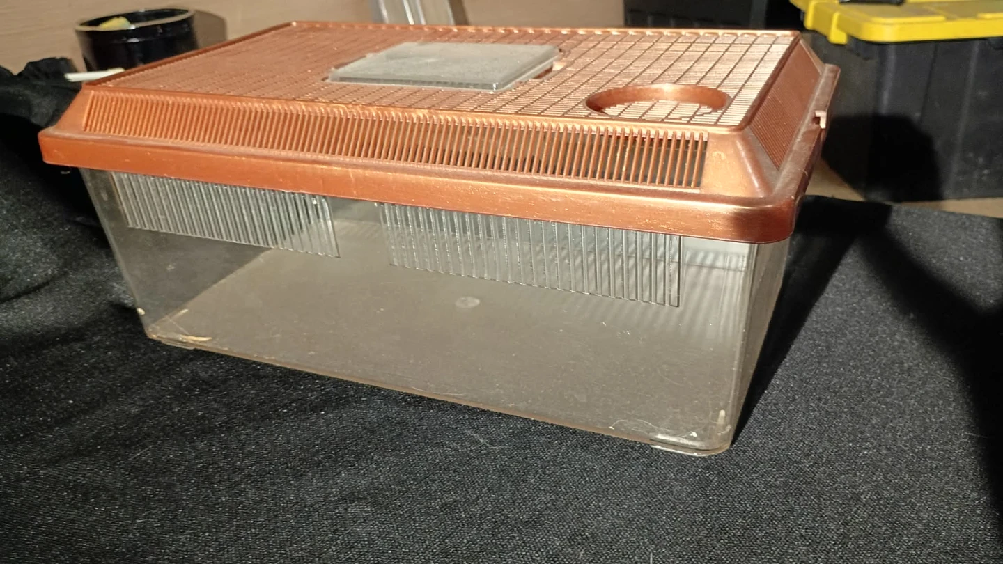 Plastic Terrarium/Critter Habitat