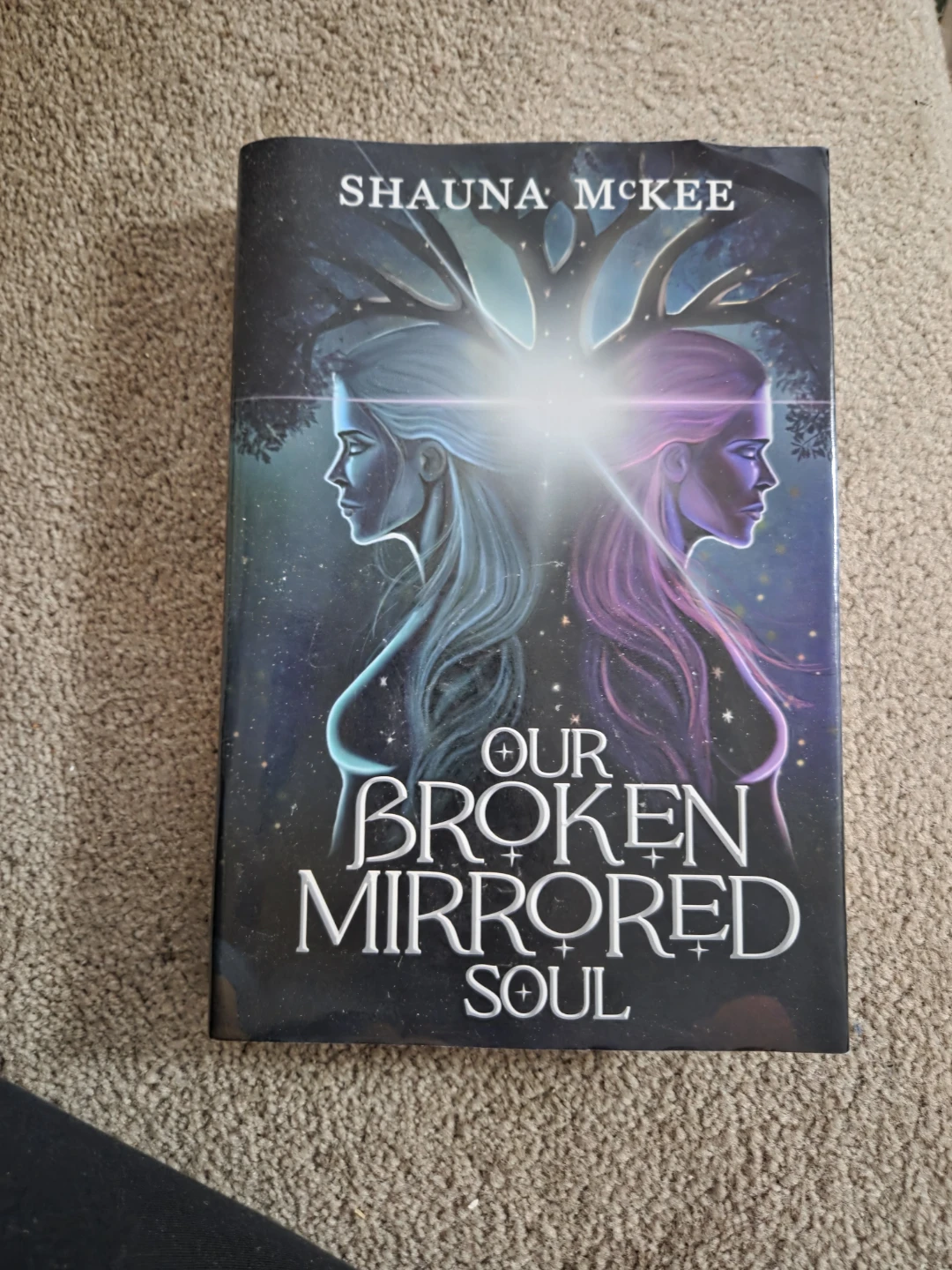Our Broken Mirrored Soul by Shauna McKee