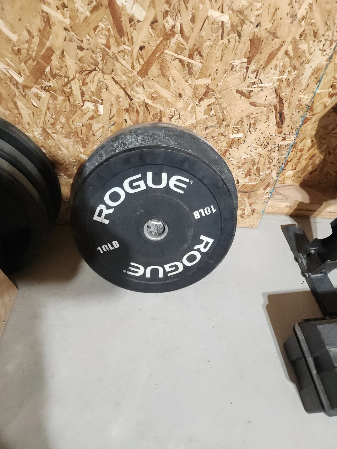 Rogue Weight Plates and Everlast Punching Bag - photo 2