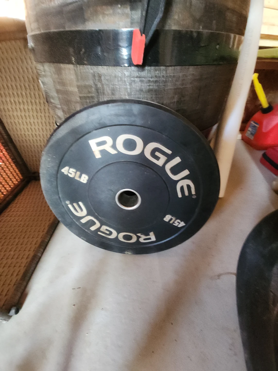 Rogue Weight Plates and Everlast Punching Bag - photo 3