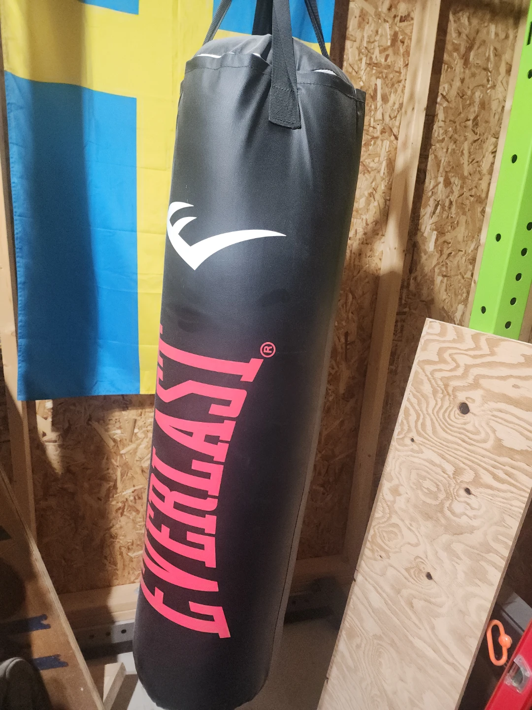 Rogue Weight Plates and Everlast Punching Bag - photo 4