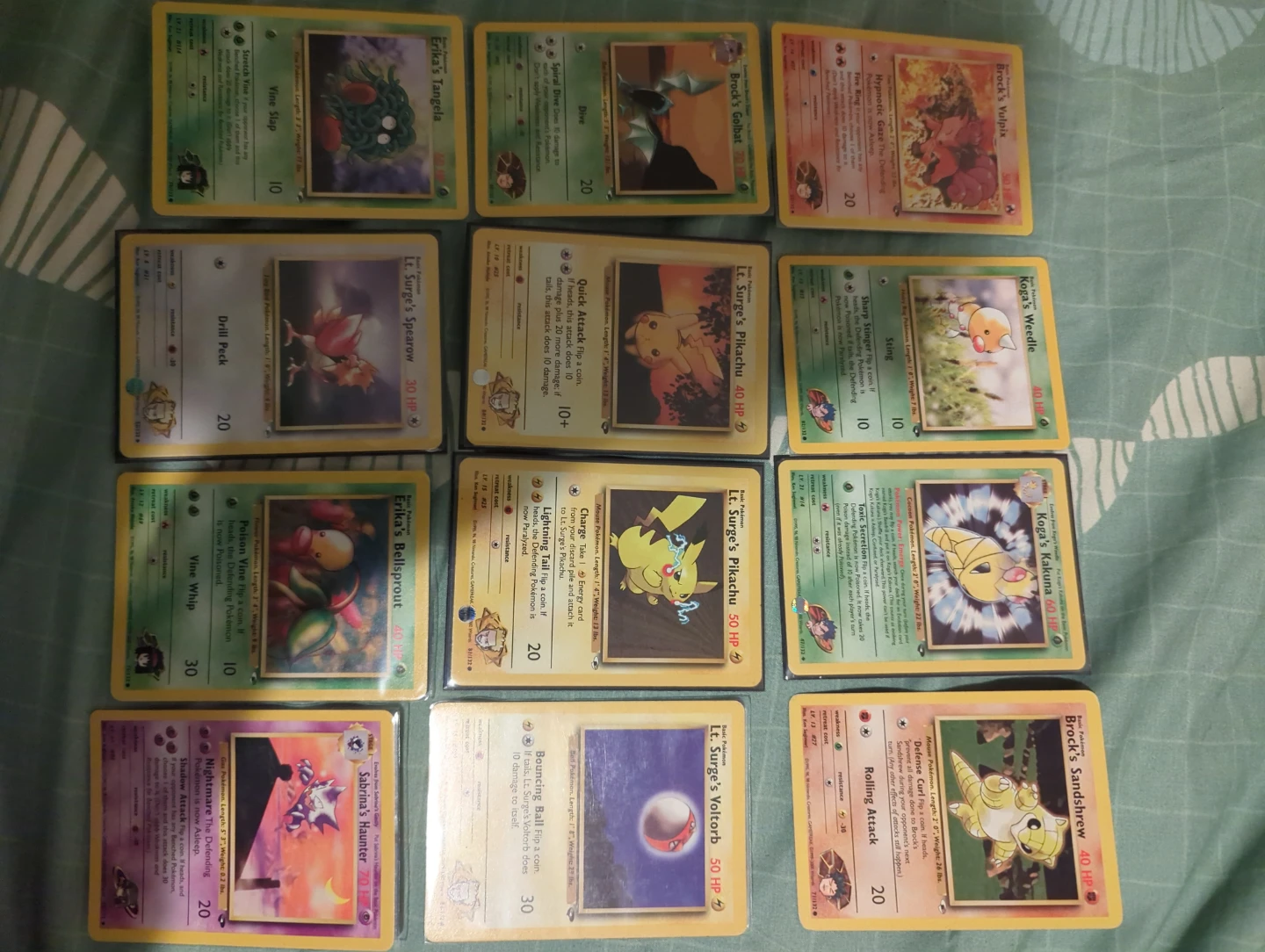 Pokemon Gym Heroes and Leaders Lot