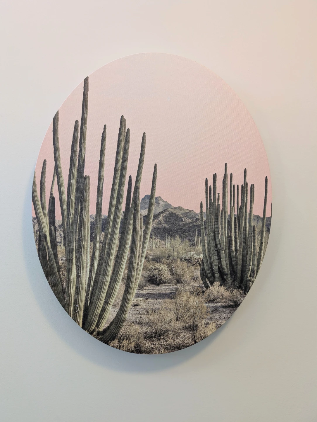 Round Desert Canvas Art Print