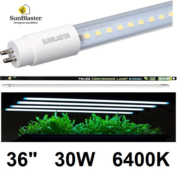 Sunblaster T5LED 36" 30W 6400K LED Tube