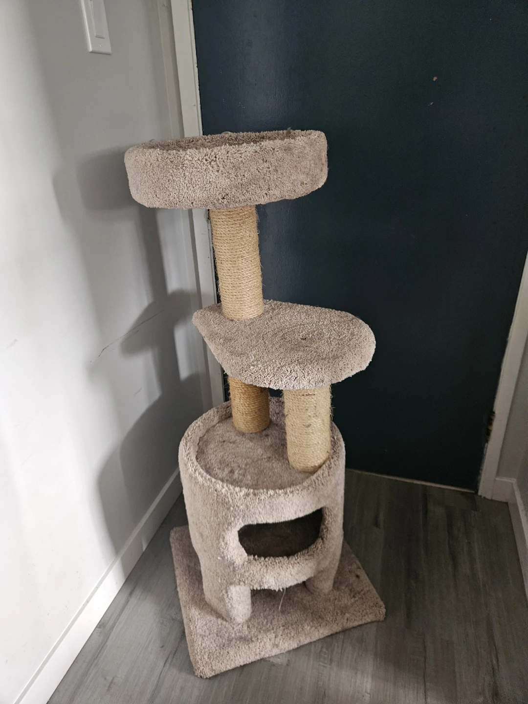 Carpeted Cat Tree Condo with Perches