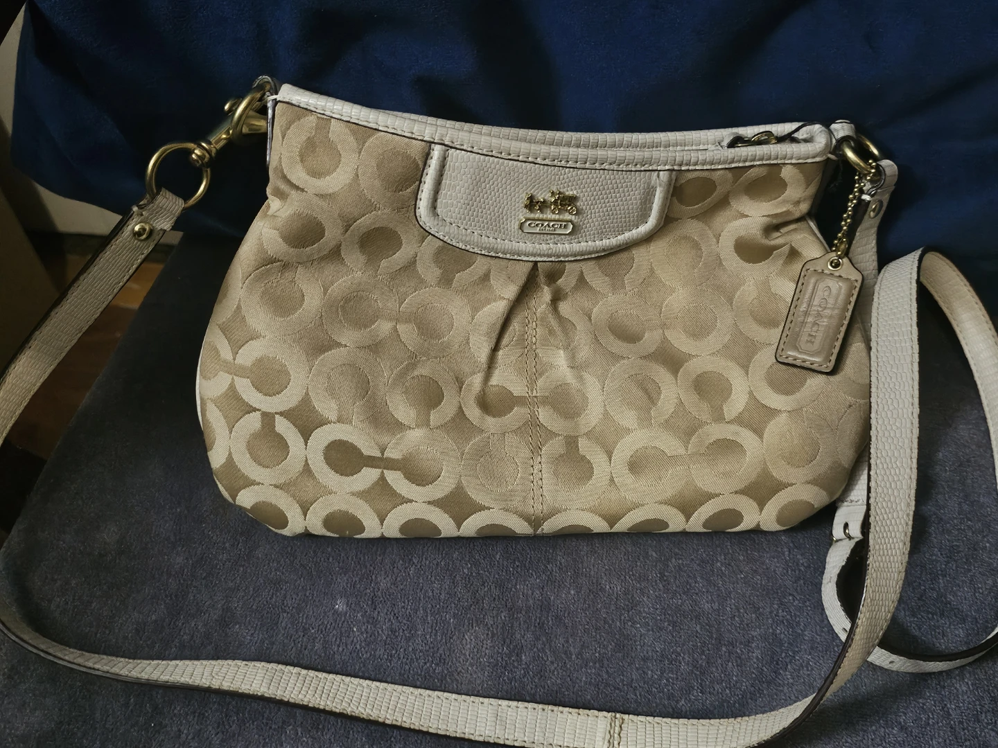 Coach Signature C Hobo Bag