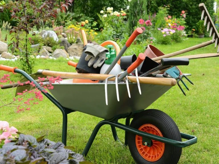 Looking for Yard Work