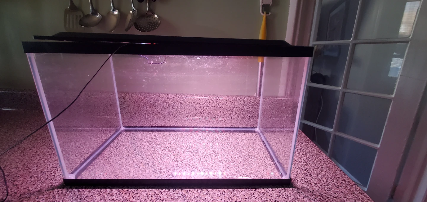 10 Gallon Glass Aquarium Tank with LED Light - photo 2