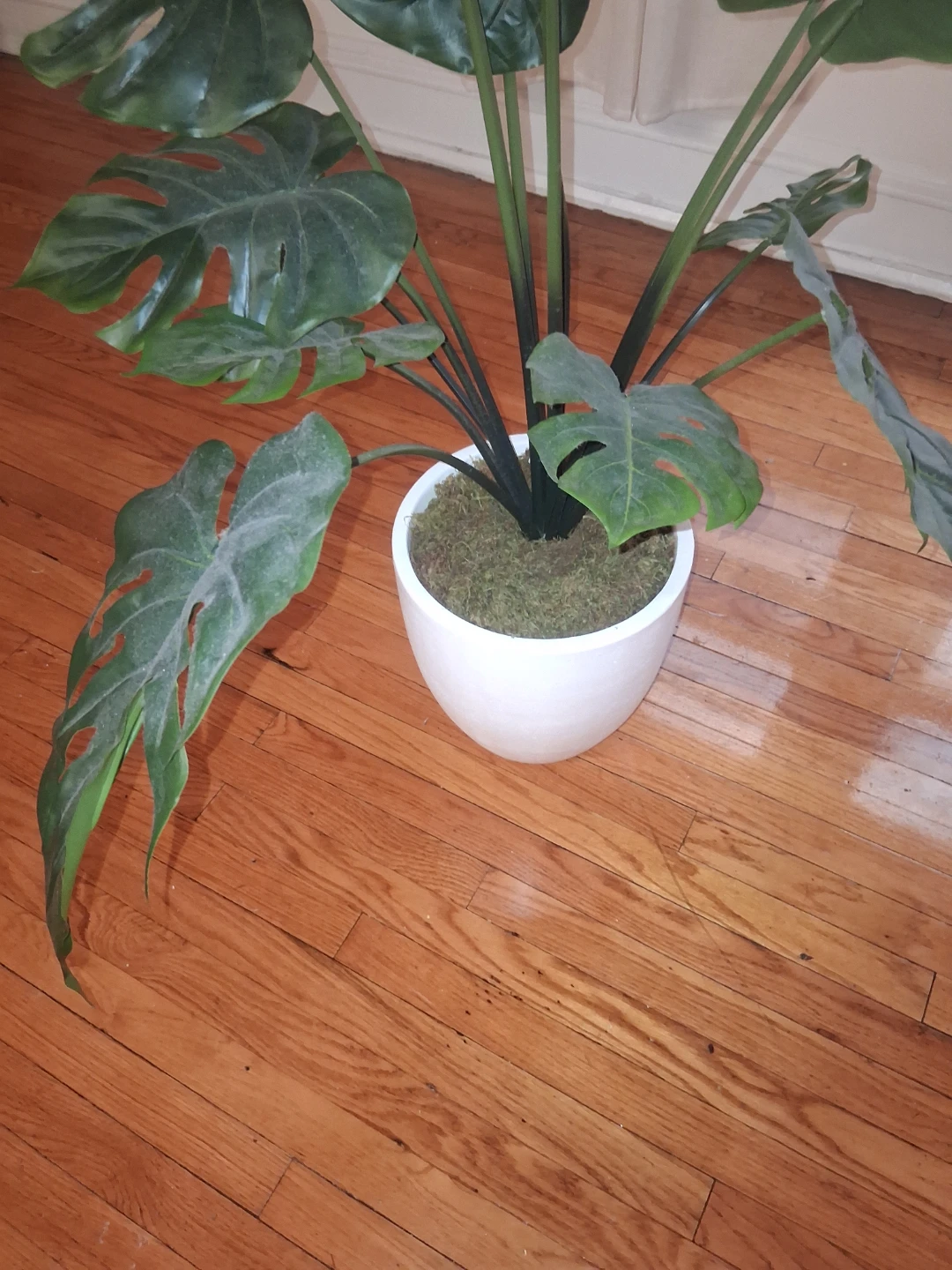 Artificial Monstera Plant in White Pot - photo 2