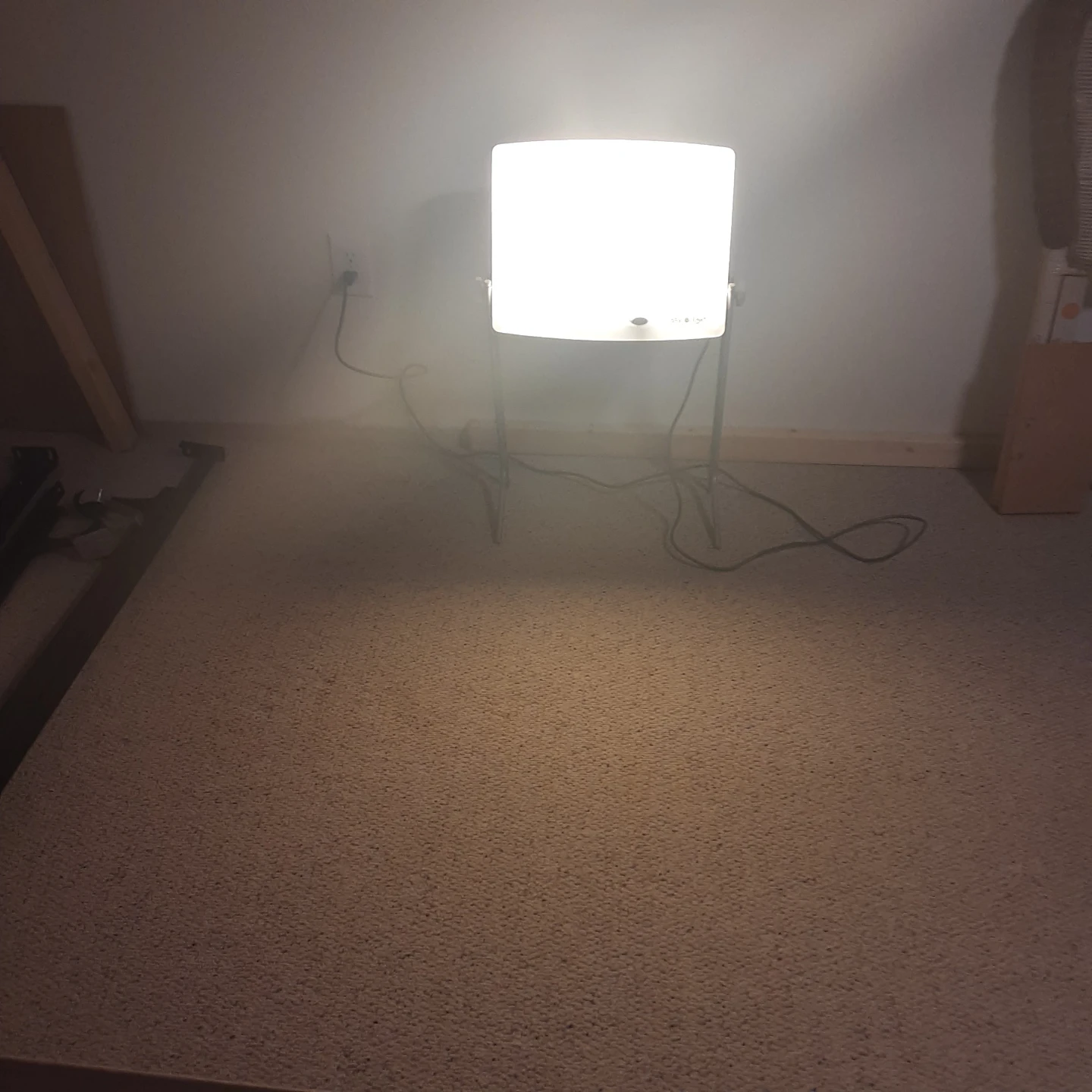 Daylight Company Sun Lamp