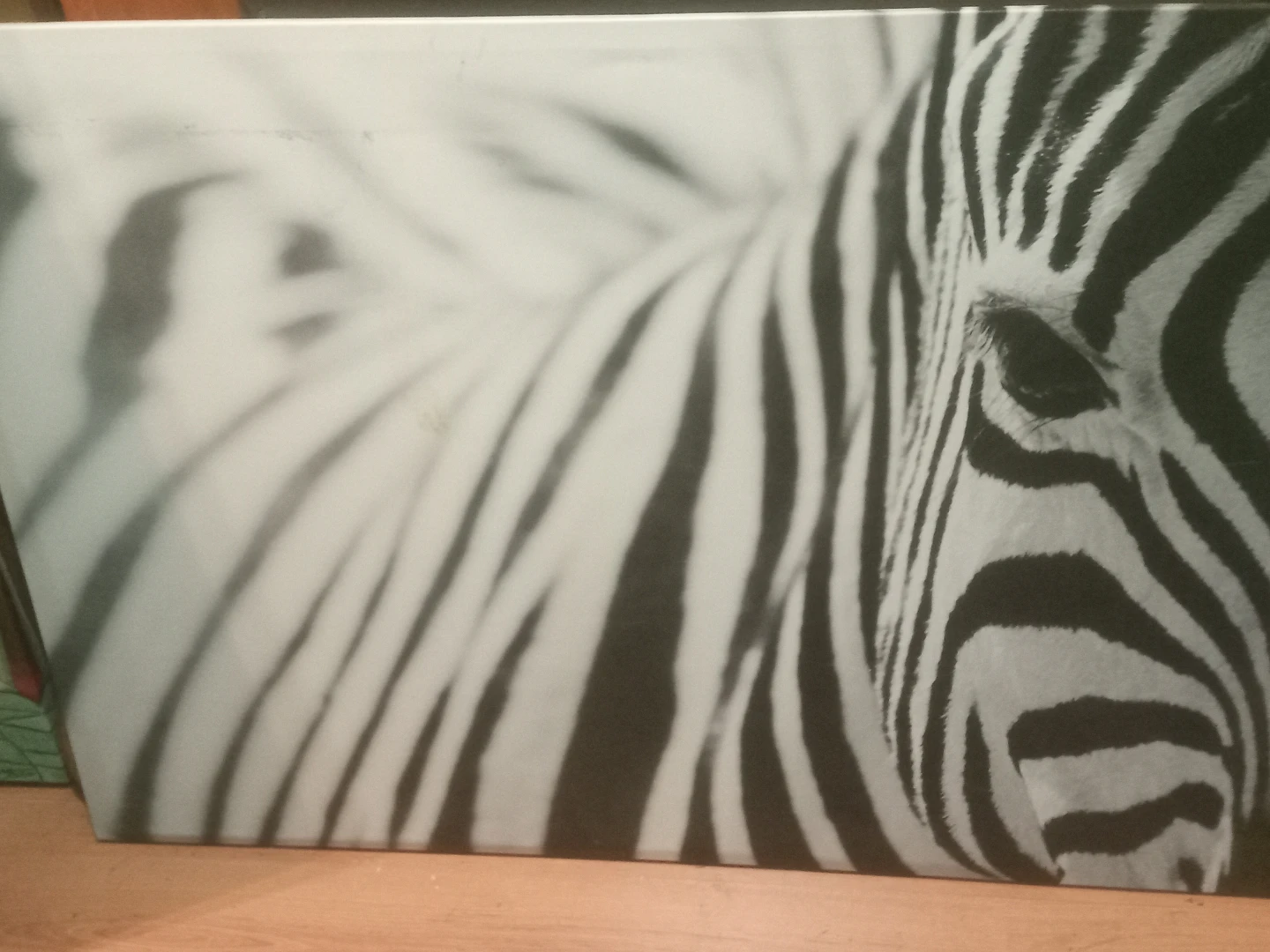 Zebra Close-Up Canvas Wall Art