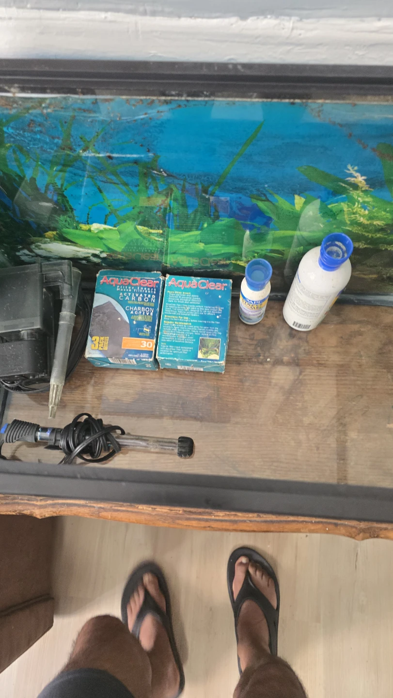 Tetra 20 Gallon Aquarium