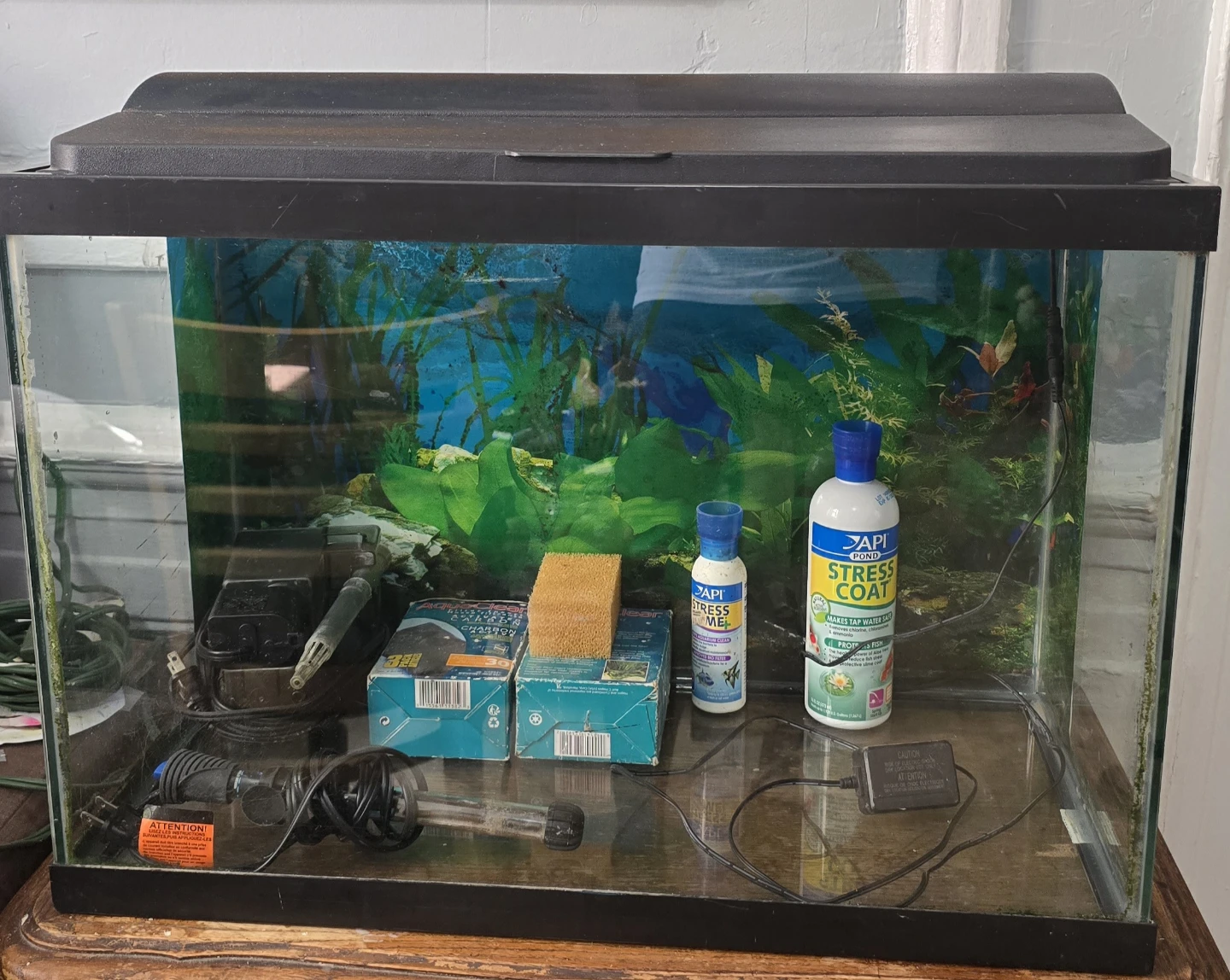 Tetra 20 Gallon Aquarium - photo 2