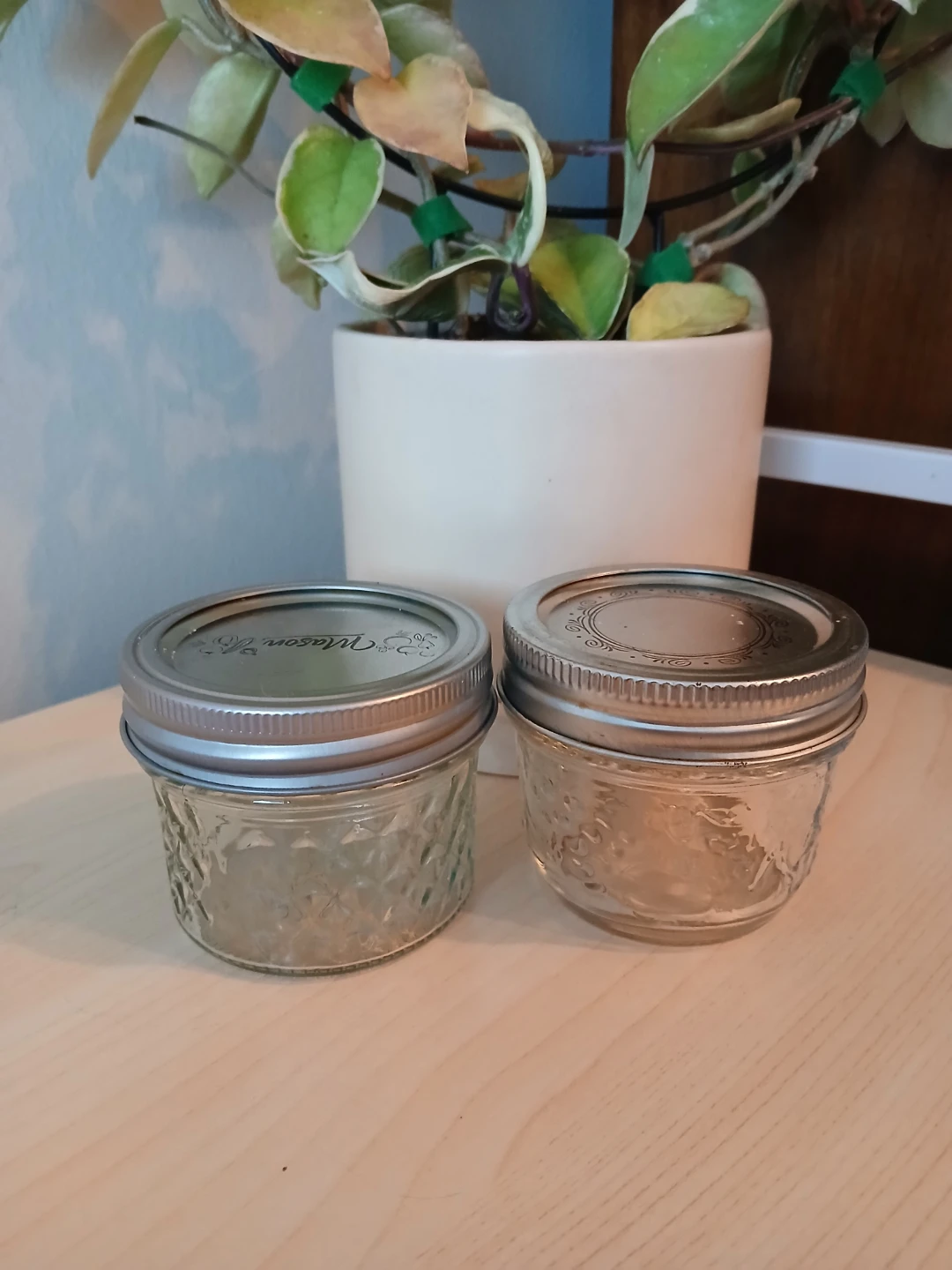 Mason Jar Set - 2 Small Jam Jars