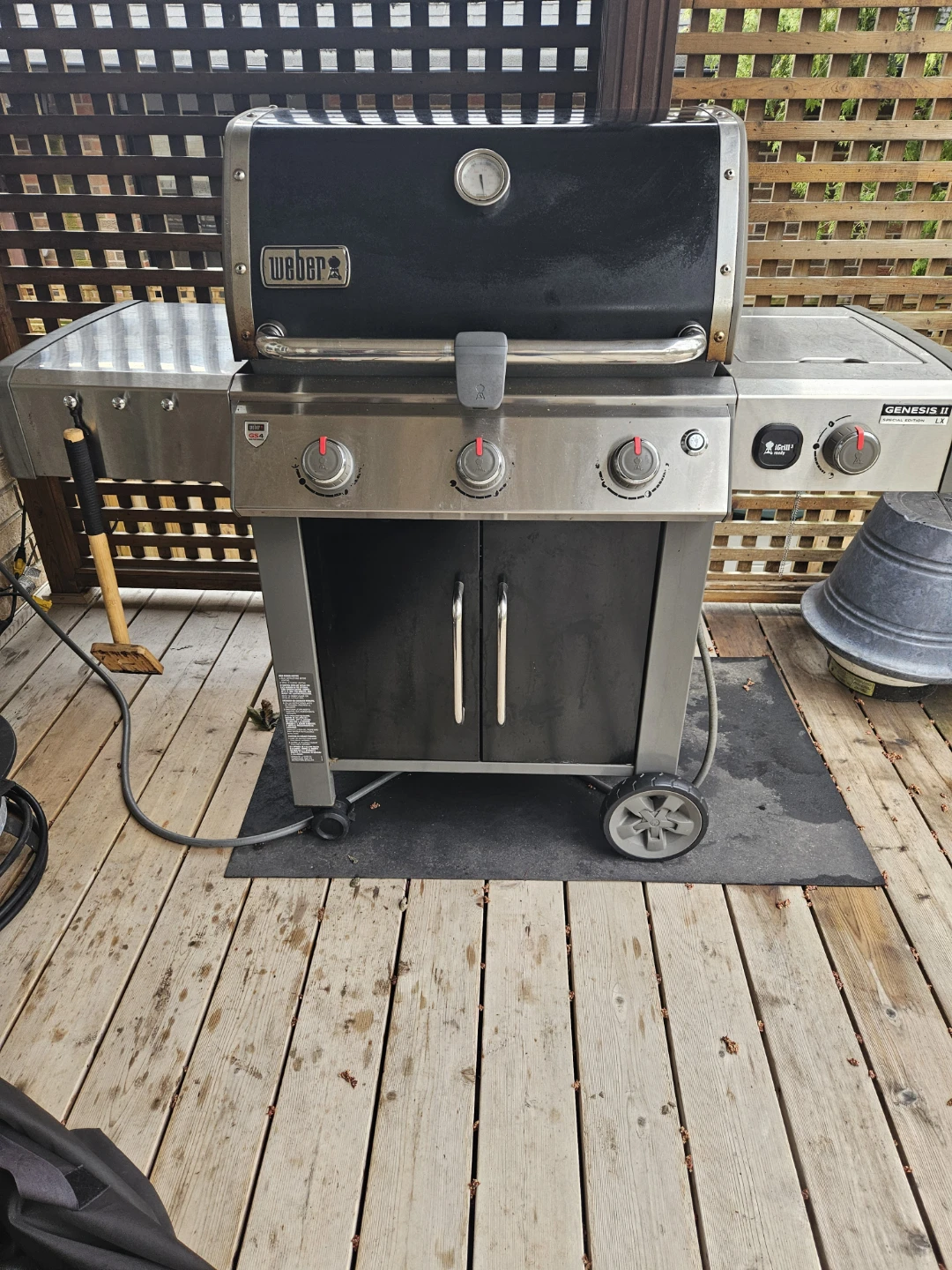 Weber Genesis II Gas Grill