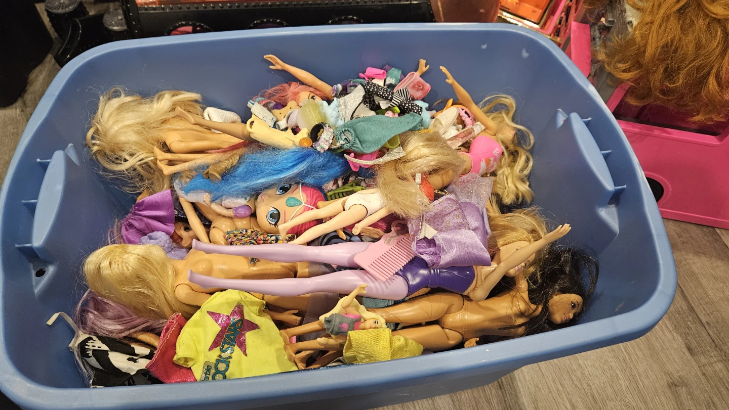 Barbie dolls and accessories