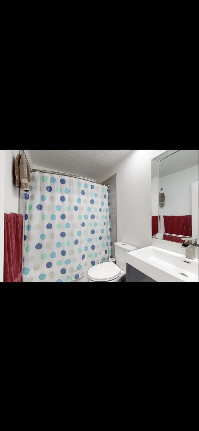Basement for rent in laurel crossing - photo 3