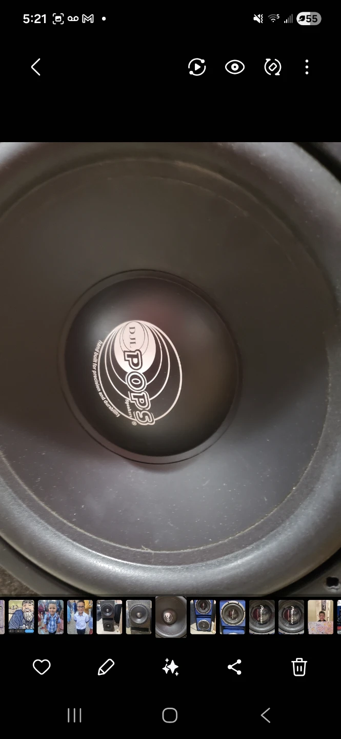 BOSS Dual 12-Inch Subwoofer with Enclosure