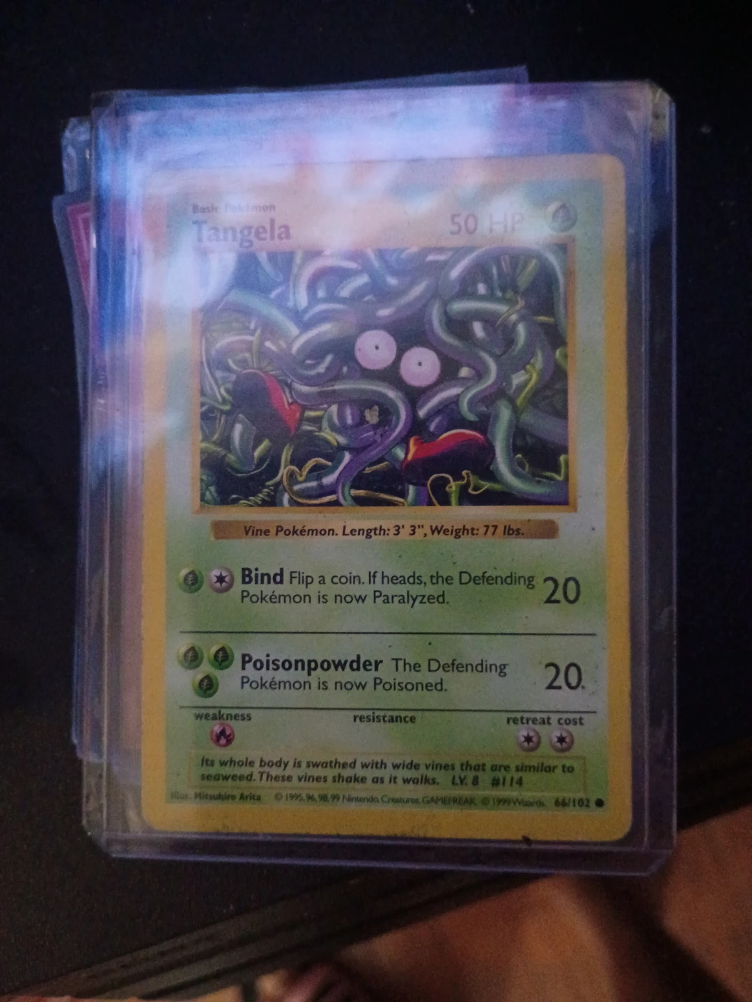miss print jungle tangela shadowless.