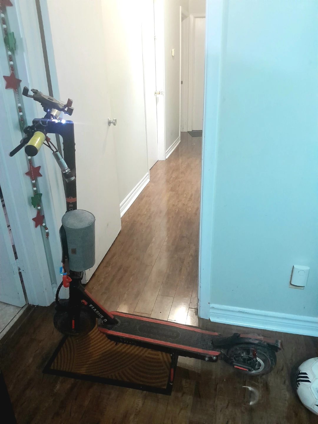 Electric Scooter