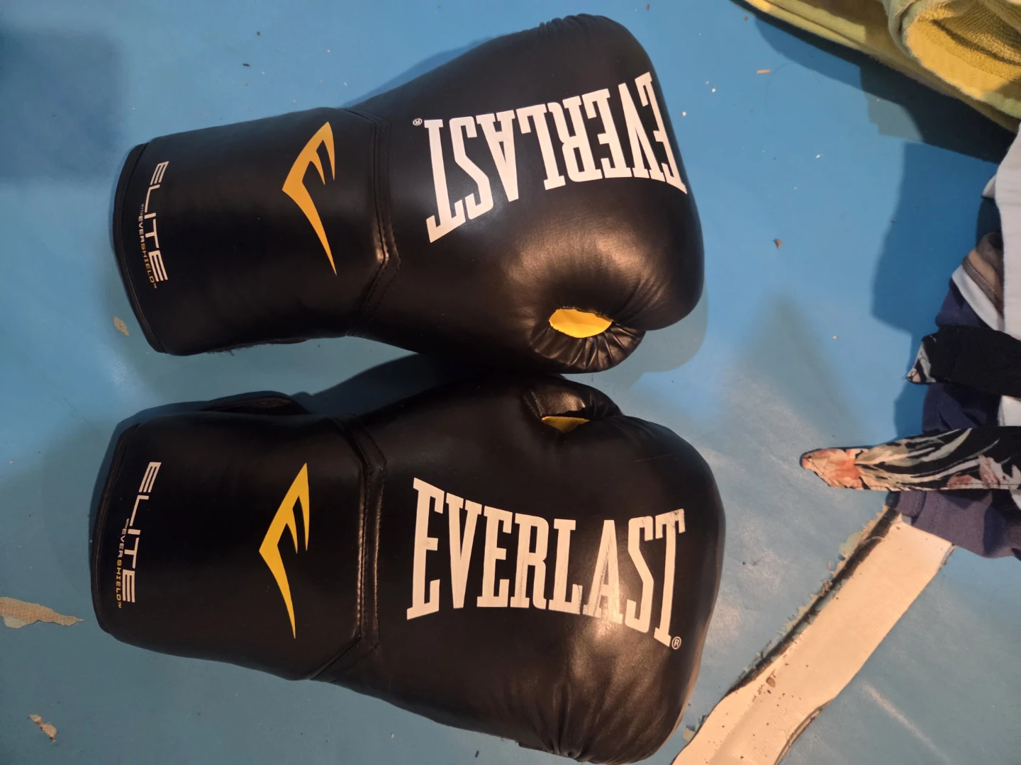 Everlast Elite Boxing Gloves