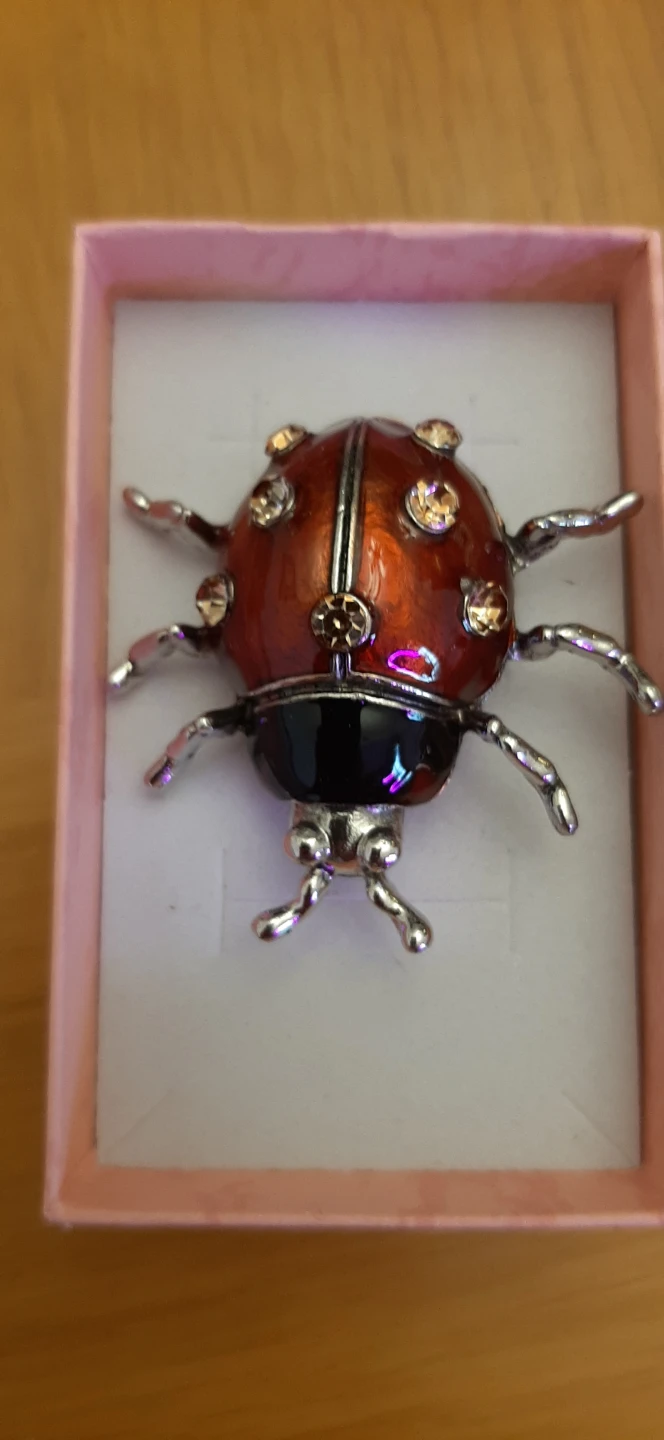 Ladybug Brooch with Rhinestones