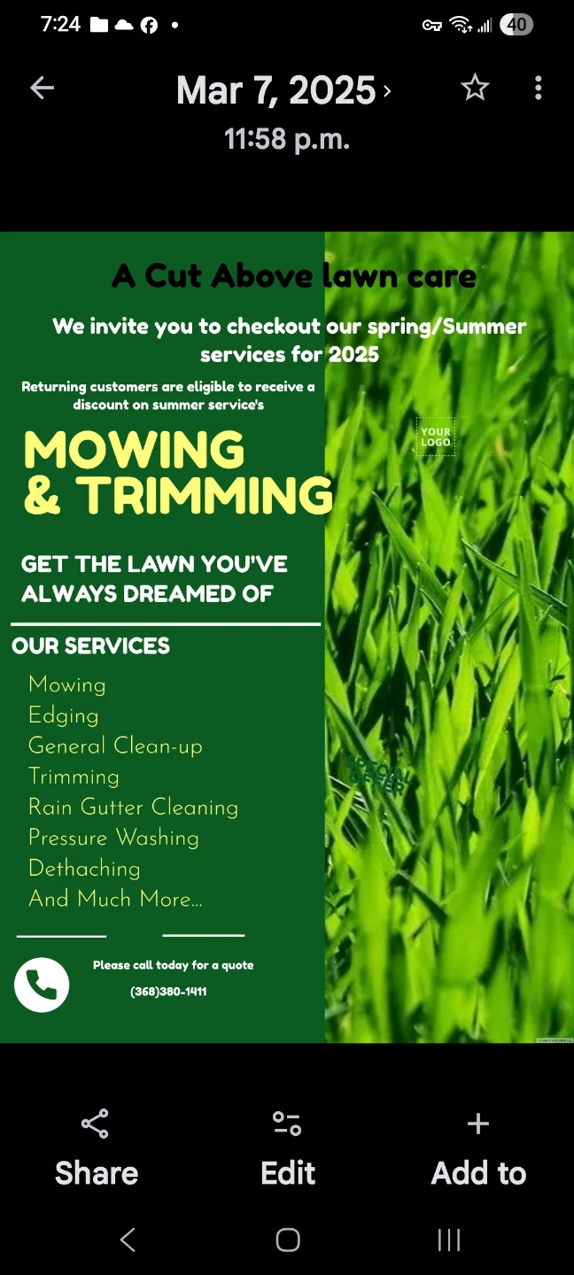 Spring clean up /mowing and trimming