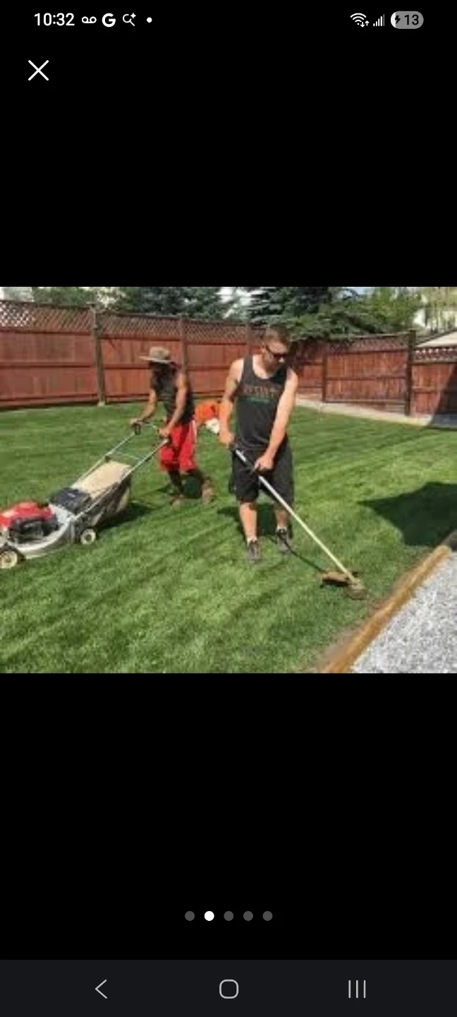 Spring clean up /mowing and trimming - photo 2