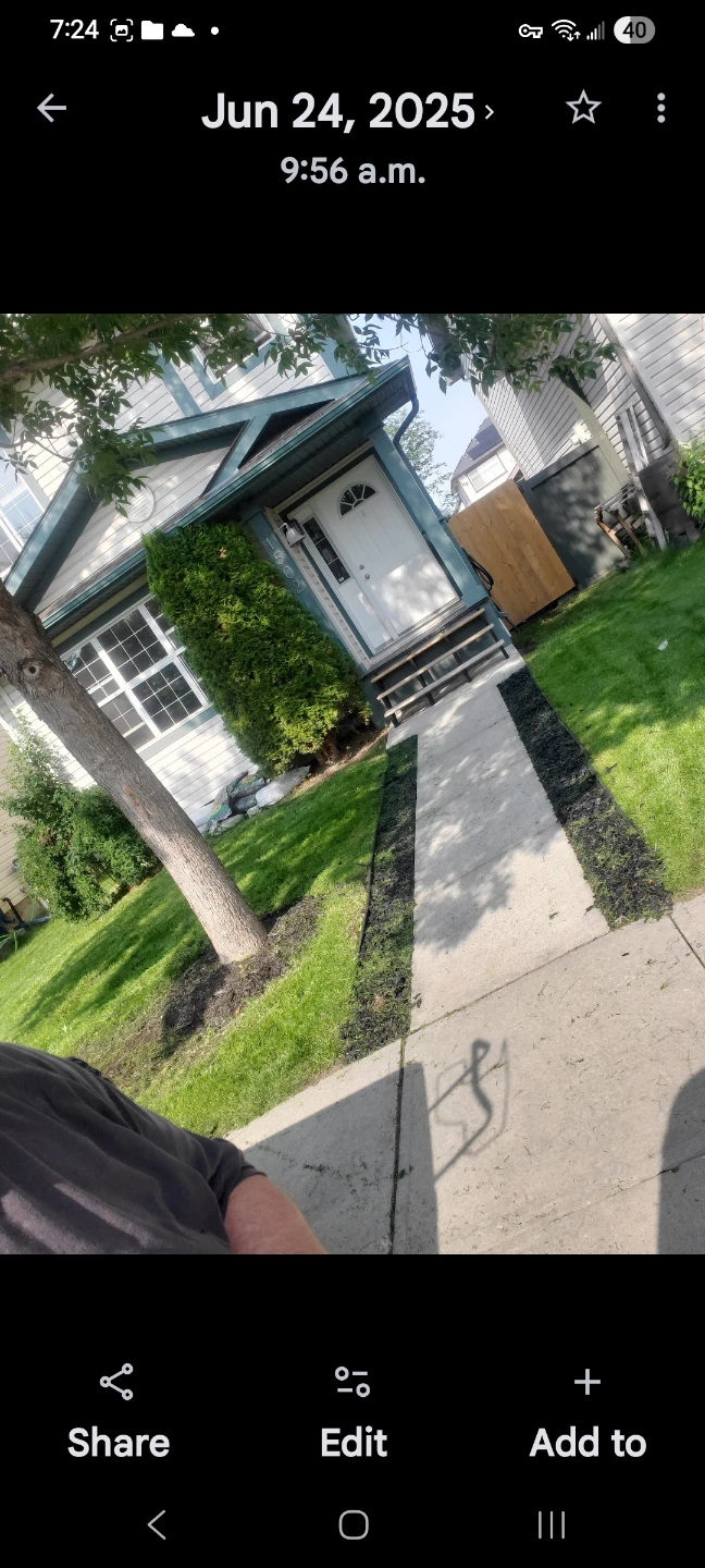 Spring clean up /mowing and trimming - photo 3