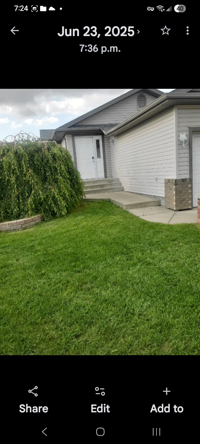 Spring clean up /mowing and trimming - photo 4