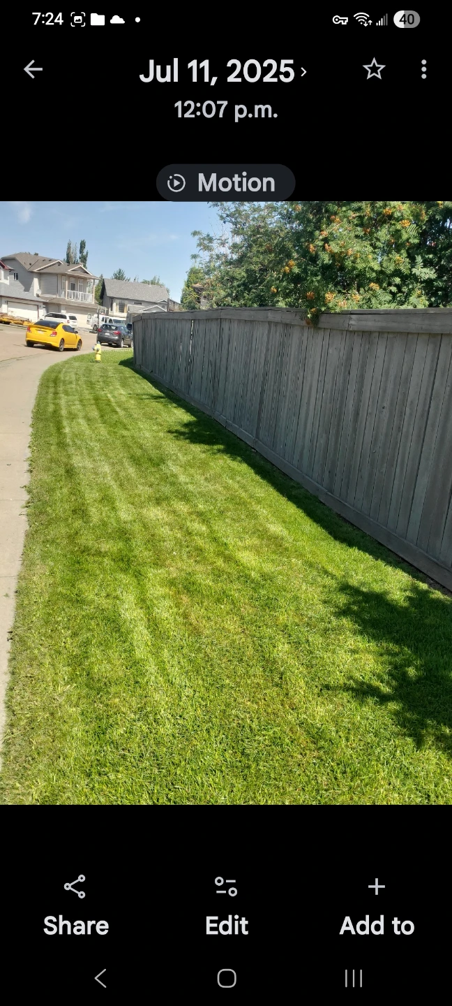Spring clean up /mowing and trimming - photo 5