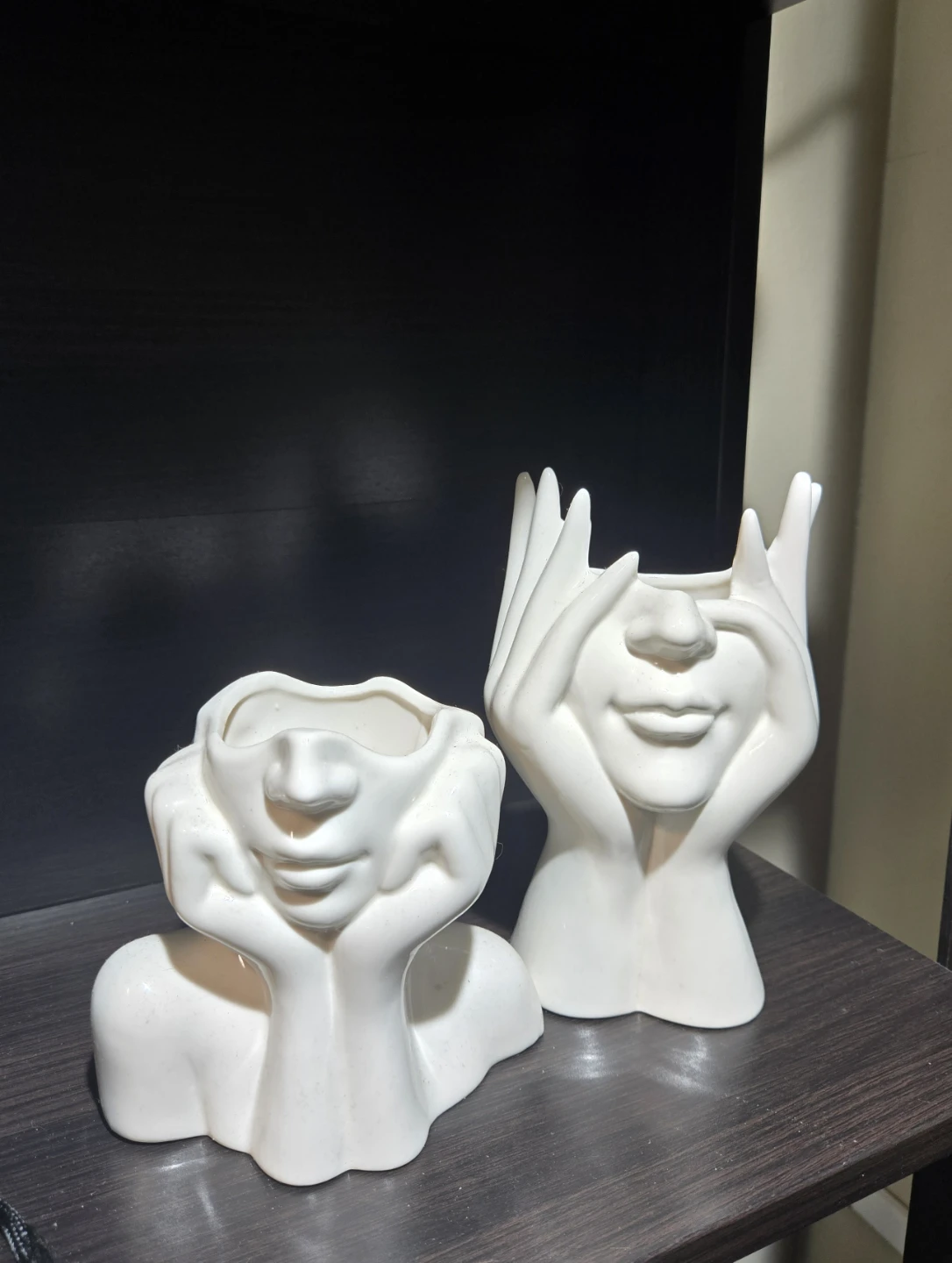 Set of 2 Face Planters