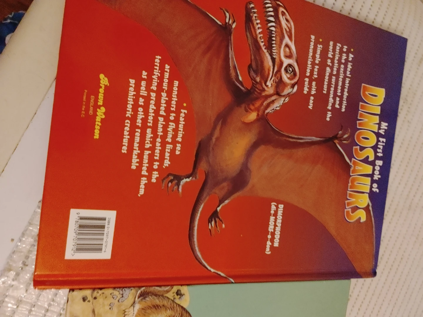 My First Book of Dinosaurs & Other Prehistoric Animals - photo 3