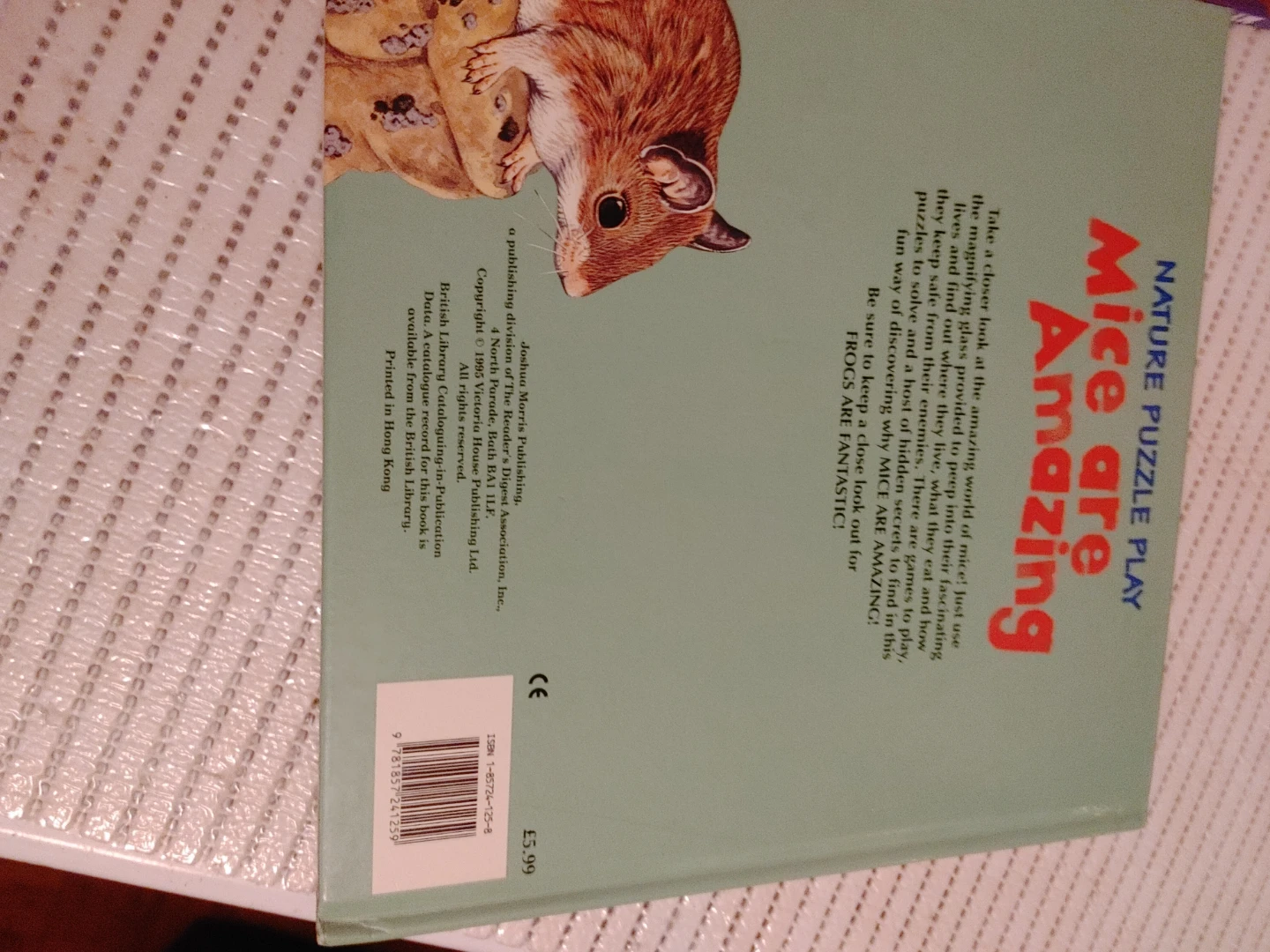 My First Book of Dinosaurs & Other Prehistoric Animals - photo 4